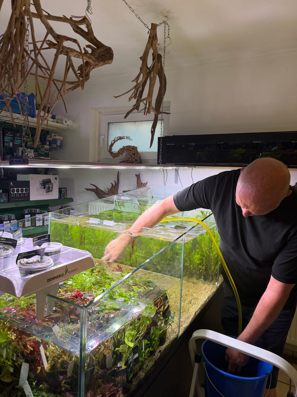 Joachim Jüttner bei der Arbeit an einem Aquarium im Zierfischparadies Erding