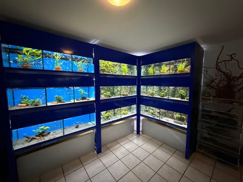 Rundumblick auf die Aquarienwände im Geschäft