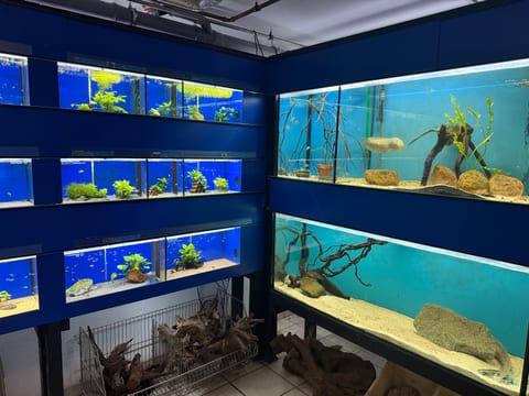 Eckansicht mit mehreren Schauaquarien