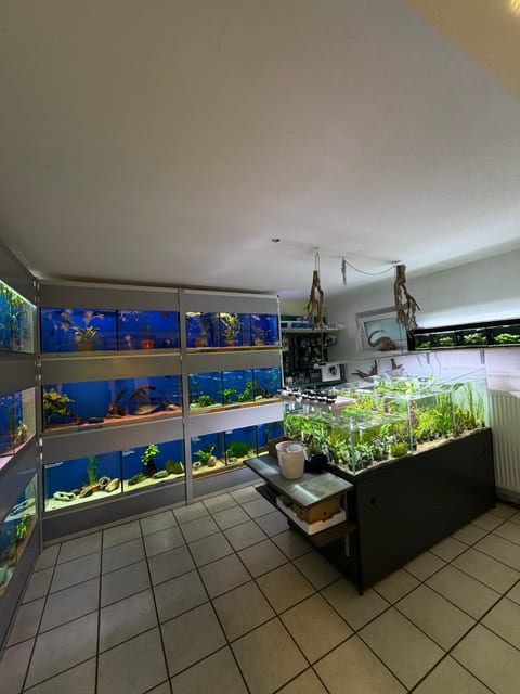 Blick in den Verkaufsraum mit Beckenwand und offenem Schauaquarium