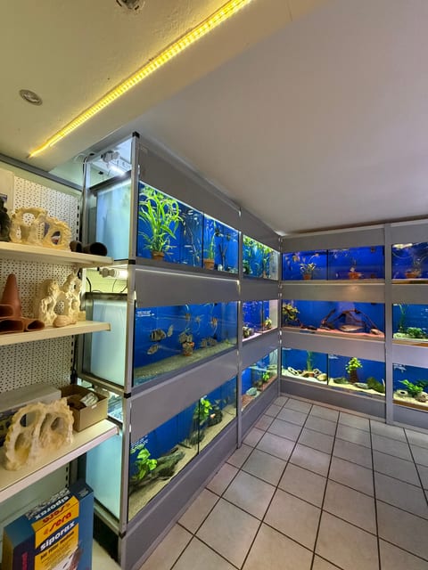 Reihen von Schauaquarien im Verkaufsraum